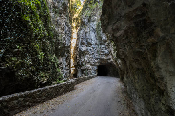 istock Scenic road on Lake Garda 1460529827
