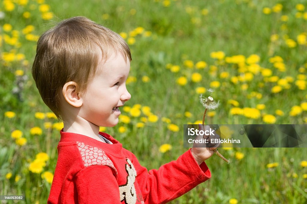 Young boy とタンポポの花 - タンポポのロイヤリティフリーストックフォト