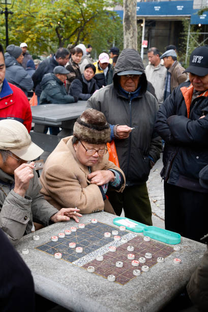 des chinois jouent aux échecs xiangqi dans un parc à new york - chinese chess leisure games chinese culture traditional culture photos et images de collection