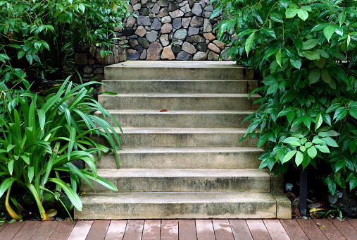 Concrete steps from pool boardwalk between tropical plants at a resort in Costa Rica