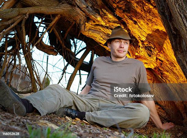 El Hombre Está Ubicado En Una Antigua Árbol Foto de stock y más banco de imágenes de Adulto - Adulto, Adulto joven, Aire libre