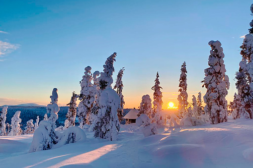This image shows wooden Hiking Trail in swamp of lapland finland.
