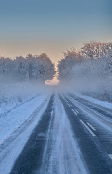 istock Winter dressed in snow and frost 1460535758