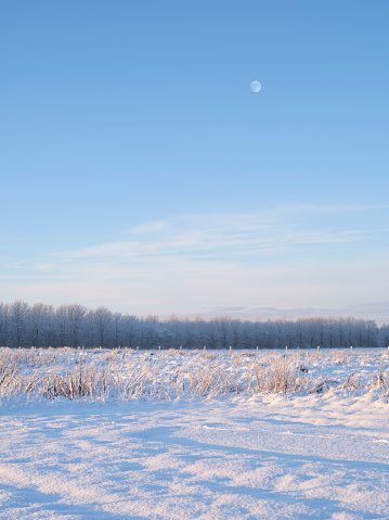 A photo of winter landscape