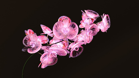 Glowing pink orchid, 3D render.