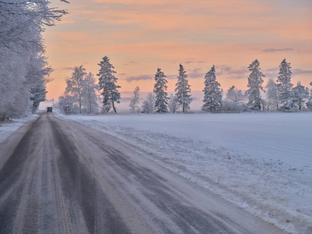 Country road through the forest in winter.
