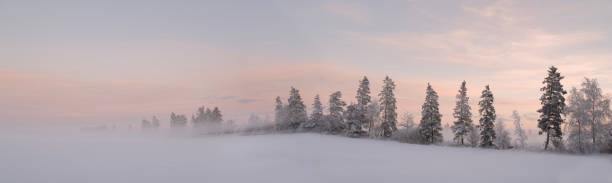 istock Winter dressed in snow and frost 1460537110