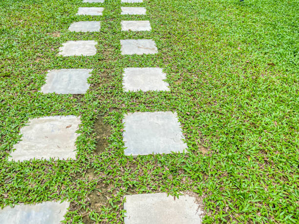 istock Abstract cement floor block pavement grid pattern with green grass background 1460539175