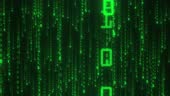 The Matrix Style Binary Code Seamless Loop Digital Binary Code ...