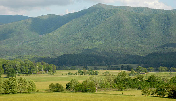 istock Cades Cove mountains 146054001