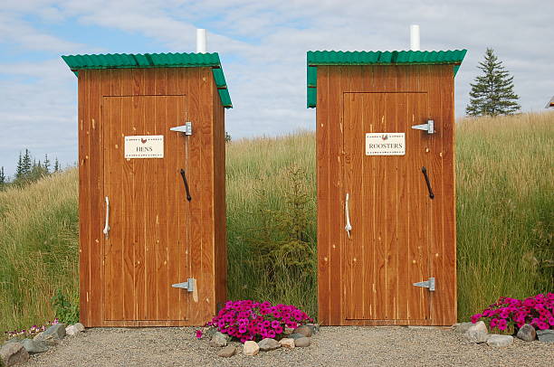 Hens and Roosters Outhouses stock photo