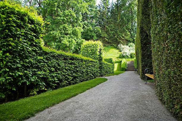 Detail in a garden landscape