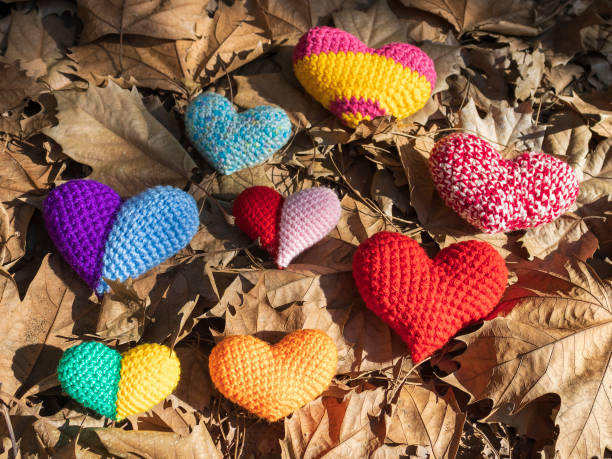 istock Colorful hearts on dry leaves 1460546079