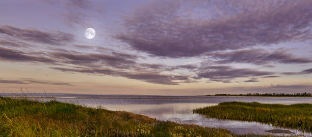 istock Calm beach and sea 1460546339