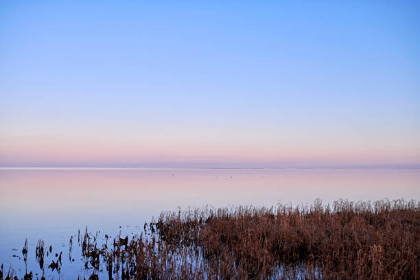 Photos of beach, coast, and ocean