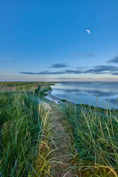 istock Calm beach and sea 1460546428
