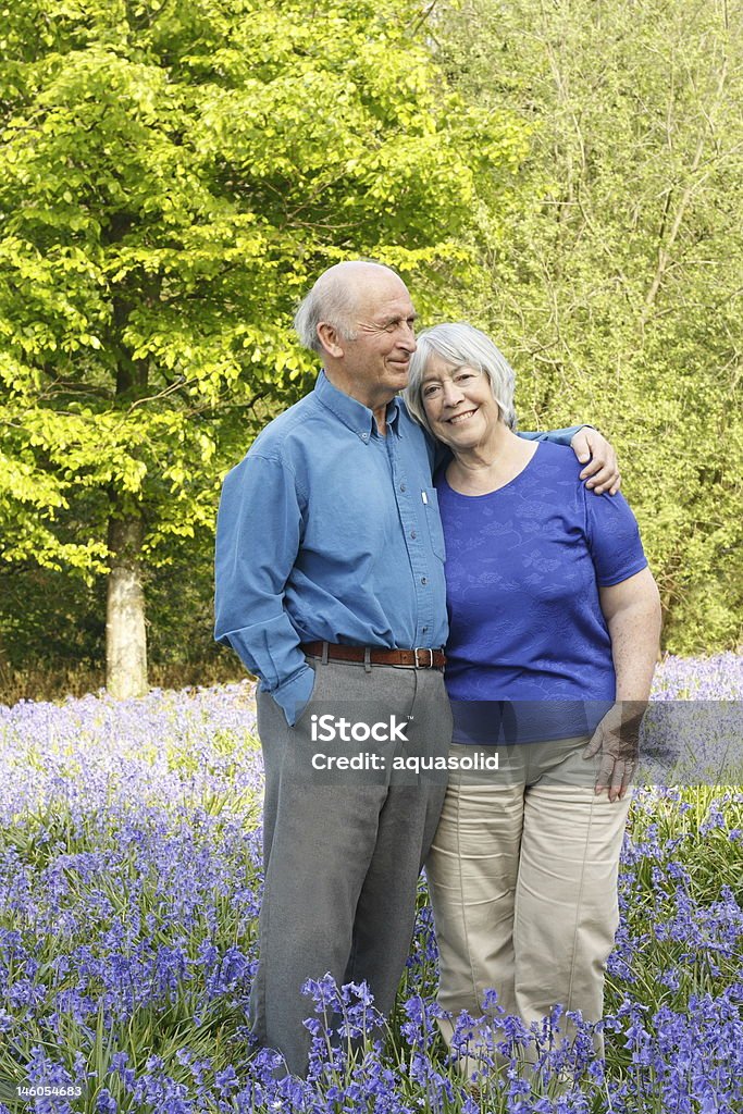 Altes Paar walking im Wald mit bluebells. - Lizenzfrei Gehen Stock-Foto