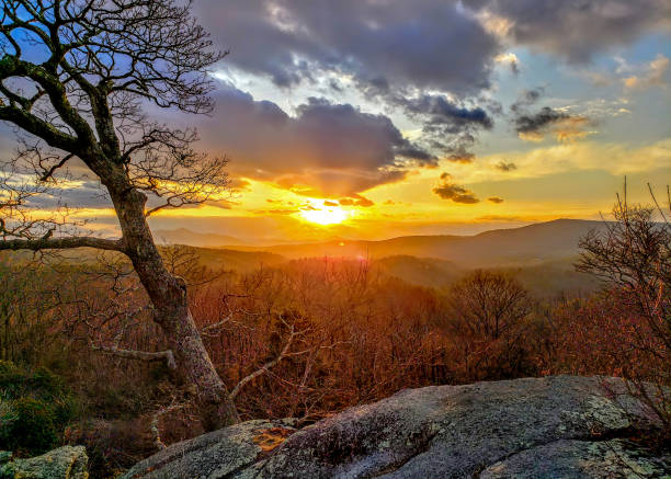 istock Blue Ridge Parkway Spring Smoky Mountains (HDR). 1460547006