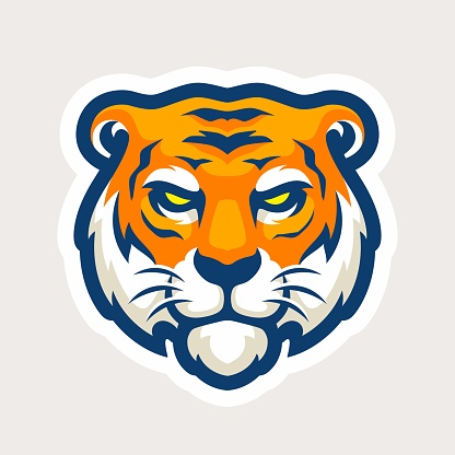 Tiger Head Vector Illustration Design