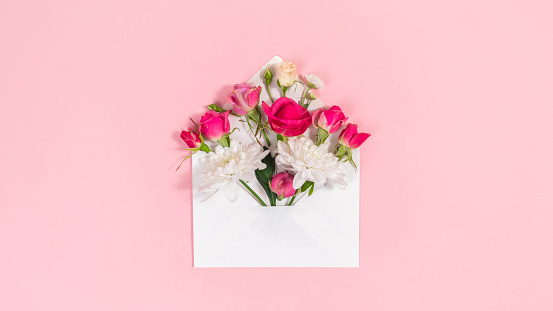 Natural red and white flowers buds in open white envelope. Valentine's, mother's day holiday, wedding and and other occasions. Pink background. Copy space.