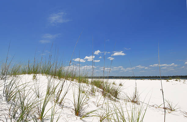 砂丘ビーチで - southern usa sand textured photography ストックフォトと画像