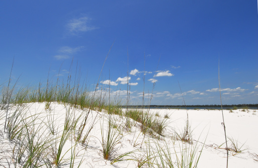 Beautiful white sand dunes and grasses at beach