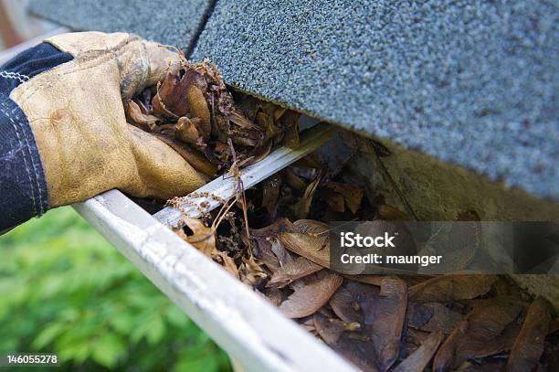 Fall Cleanup Leaves In Gutter Stock Photo - Download Image Now - Roof Gutter, Cleaning, Occlusion