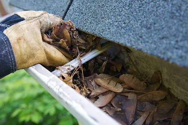 A fall tradition - cleaning the gutters of leaves. Here, we see them clogging the gutters of a traditional home. Could be used for advertising/clean up articles/etc. Narrow DOF