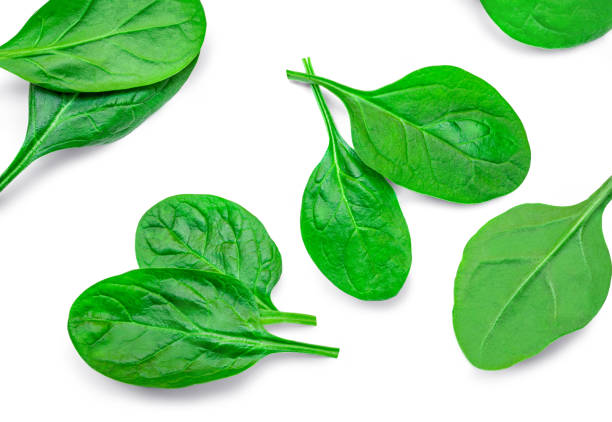 istock Fesh green baby spinach leaves isolated on white background. Espinach Set. Pattrn. Flat lay. Spinach Food concept. 1460552871