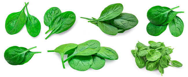 Fesh green baby spinach leaves isolated on white background. Espinach Set. Pattrn. Flat lay. Spinach Food concept.