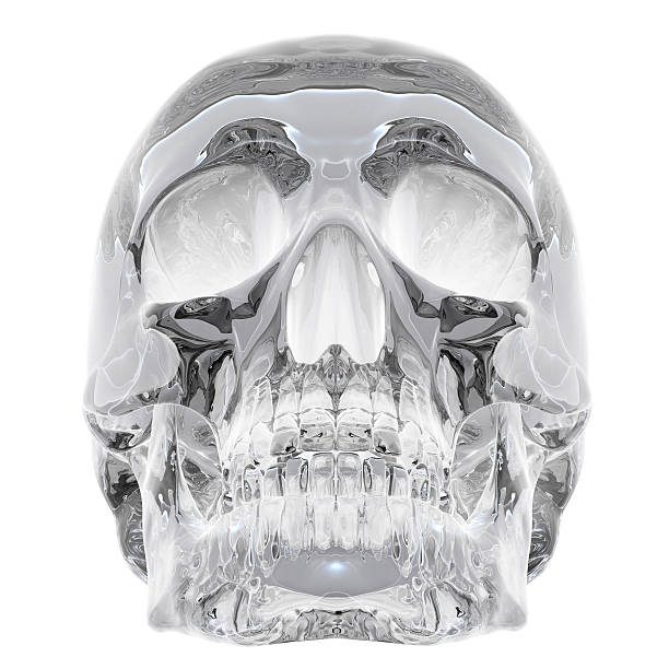 crystal skull 3d illustration of crystal skull crystal glassware stock pictures, royalty-free photos & images