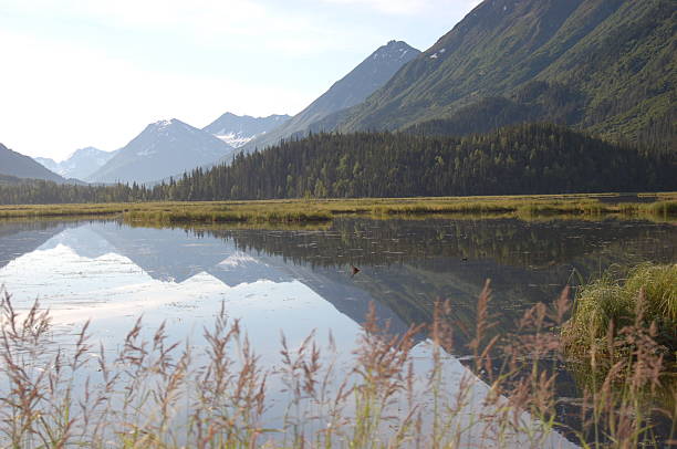 Mirror image in glassy lake surface stock photo