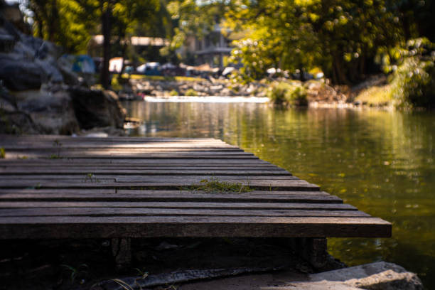 istock Old dock or wood pier on the lake in the forest. 1460554849