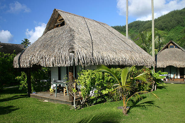 istock Tropic resort bungalows 146055590