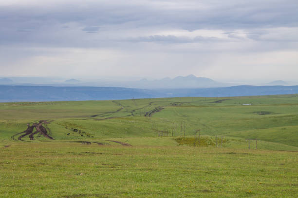istock endless green meadow, a country road and a dramatic sky 1460561266