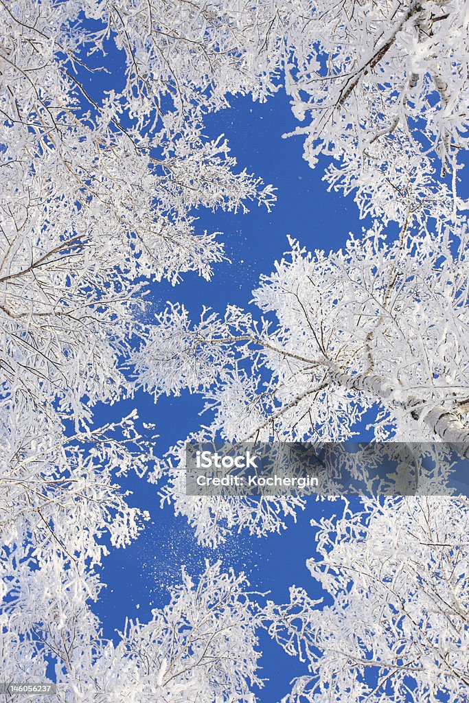 Derivación de nieve - Foto de stock de Belleza libre de derechos