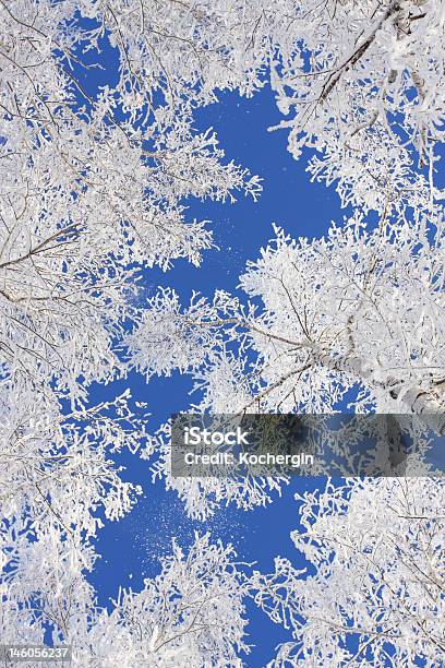 Derivación De Nieve Foto de stock y más banco de imágenes de Belleza - Belleza, Enero, Invierno