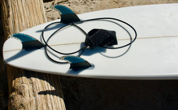 istock Three fin surfboard and leash resting on a log at the beach 1460562815