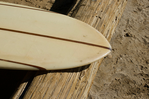 Vintage longboard surfboard resting on a log at the beach