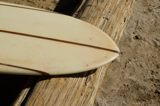 Vintage longboard surfboard resting on a log at the beach Vintage longboard surfboard resting on a log at the beach san clemente california stock pictures, royalty-free photos & images