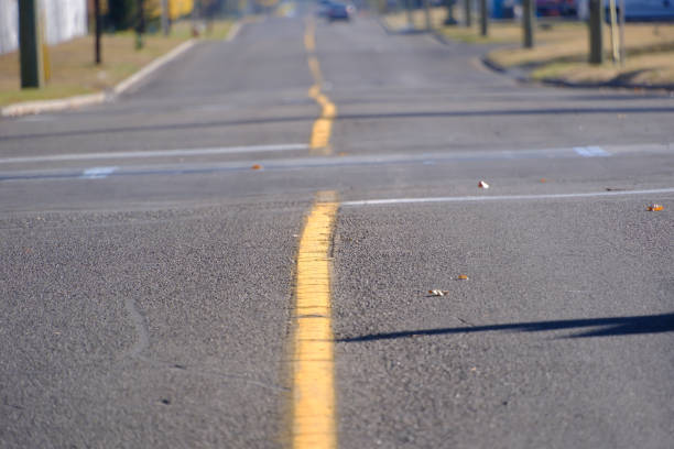 istock Fall autumn leaves on a rural road 1460563424