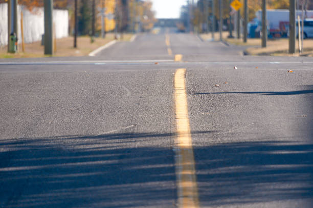 istock Fall autumn leaves on a rural road 1460563429