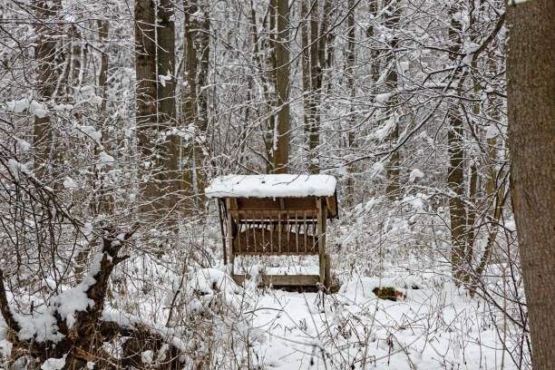 feeding crip for deers in a winter forest