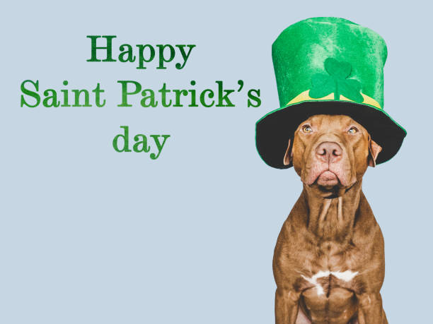 istock Puppy and a bright green leprechaun hat 1460566235