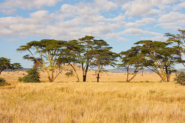 Kenia – Foto