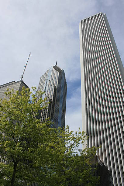 Chicago Skyline view including the Aon Center. aon center chicago photos stock pictures, royalty-free photos & images