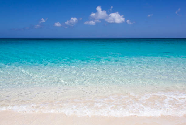 istock Paradise Island Transparent Turquoise Color Waves 1460569689