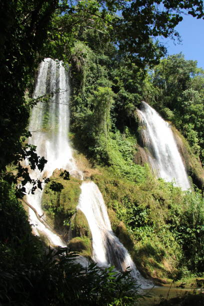 istock Cuba - Topes de Collantes - Parque Guanayara ( tropical forest ) 1460570603
