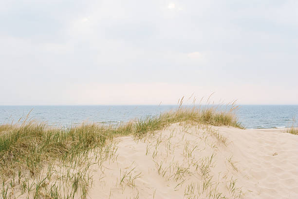 istock Lake Michigan beach and Sand dunes 146057151