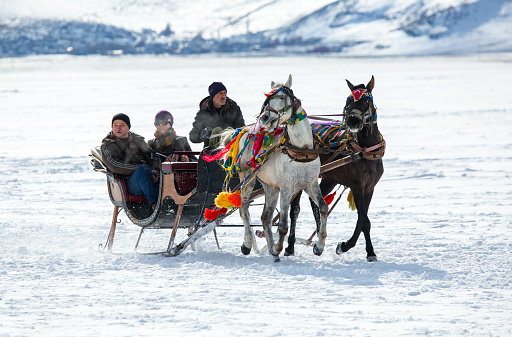 Kars, Turkey - January 31:  Traditional horse transport with sleigh. 01/31/2014  in Kars, Turkey.